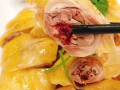正宗白切鸡-巫记鸡饭店