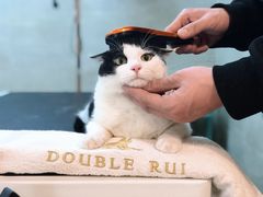 -Double Rui宠物酒店