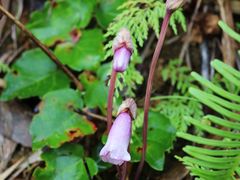 -天芳悦潭度假村温泉