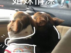 -东怡大酒店(上海科技馆店)