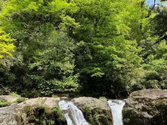 -龙苍沟森林公园
