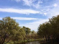 -新江湾城公园