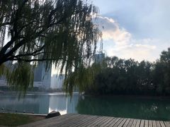 -天鹅湖体育公园