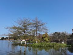 -海珠湖公园