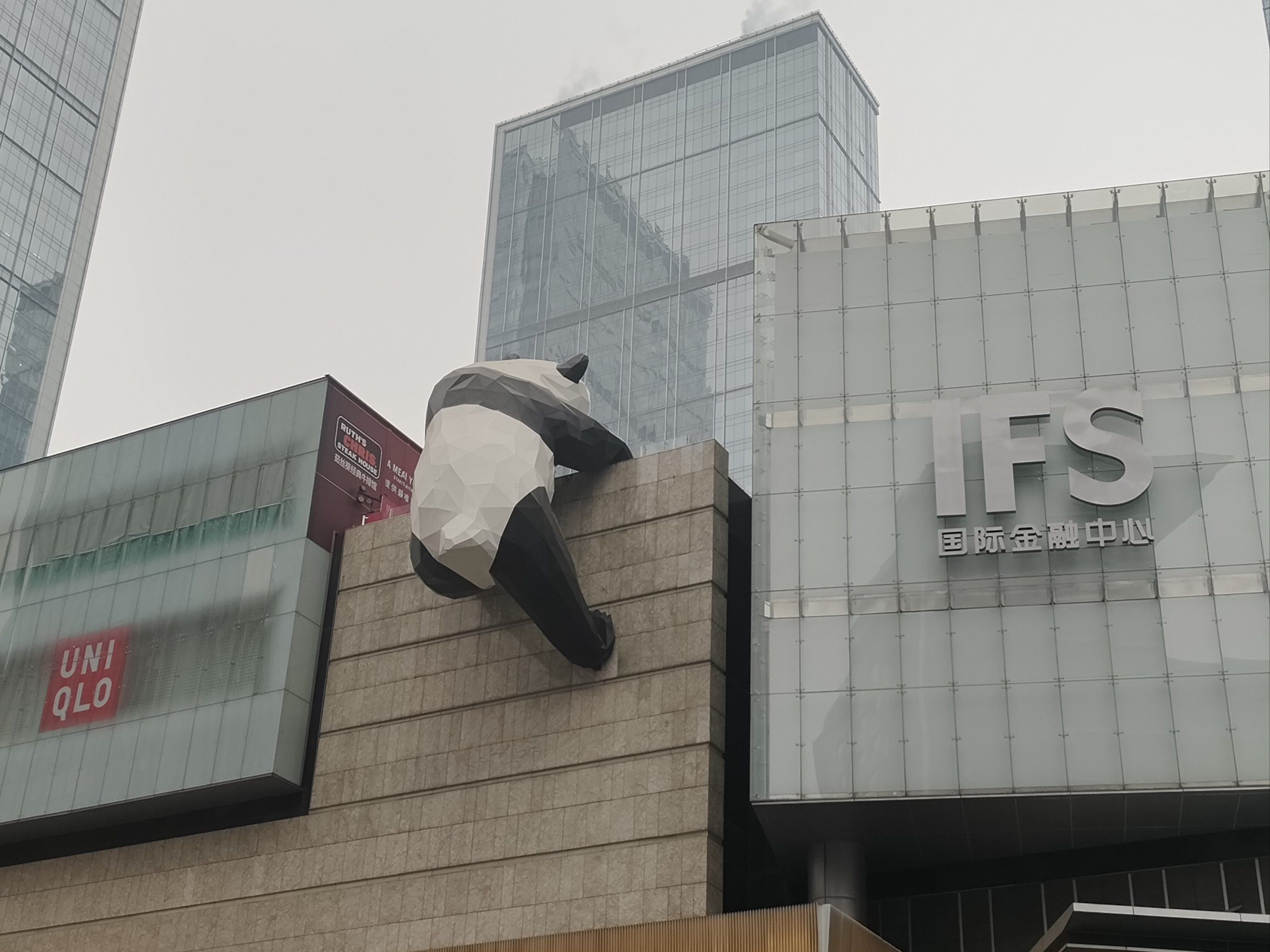 打卡春熙路爬墙大熊猫