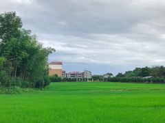 -青青世界