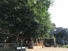 -扬美古镇景区