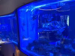 -上和臻品中国菜(花园街店)