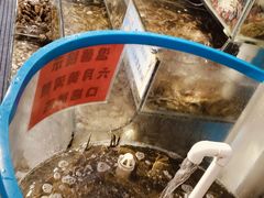 -仙螺岛海鲜自助餐厅(总店)