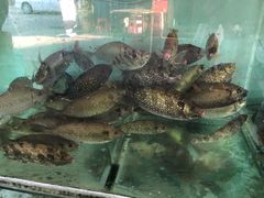 -蚝乡农庄(铁涌赤岸店)