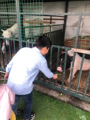 -小蜜蜂农场(凯德七宝购物广场店)