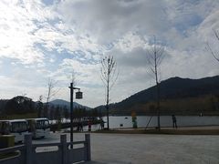 -千年银杏谷文化旅游区