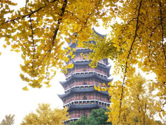 北寺塔-北寺塔