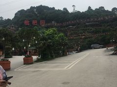 -枇杷园食为鲜火锅(南山店)