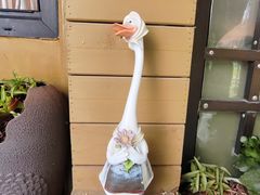 -三忘湖 SWANSEEN(柳荫公园店)