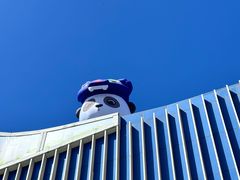 -凯德MALL(望京店)