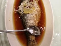 酒酿鲥鱼-江南村酒家