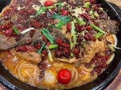 -老板恋上鱼(恒隆广场店)