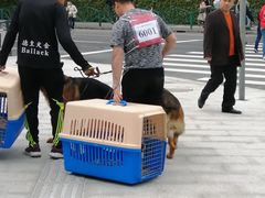 -东浩兰生上海世博展览馆