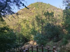 -白水寺森林公园