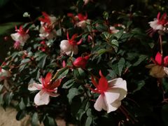 -卧龙堡客栈·中餐厅(古北水镇店)