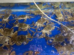-阳澄湖大闸蟹·琼灵阁牌品牌连锁(吴中总店)