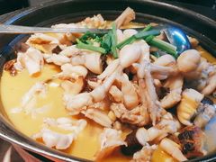 -蛙小侠(合浦万达店)