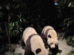 -武汉园博园(武汉自然博物馆)