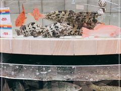 -果蔬好(江南赋店)