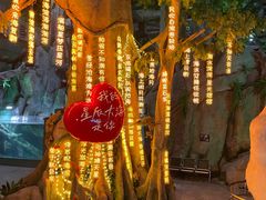 -福州罗源湾海洋世界旅游区