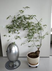 -颜蕾医美·黄金微针·水光·玻尿酸·超声炮·抗衰中心