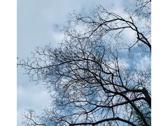 -丰台花园