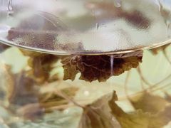 -百花人家(清水田园店)