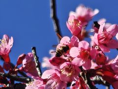 -云南师范大学(一二一西南联大校区)