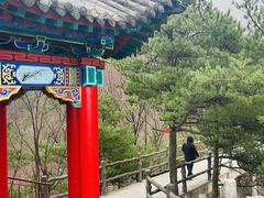 -王顺山国家森林公园