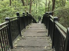 -杭州半山国家森林公园