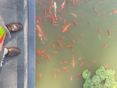 -云溪植物园