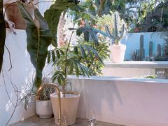 -自由生长植物工作室(深港花卉中心店)