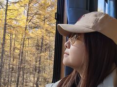 -莫尔道嘎国家森林公园