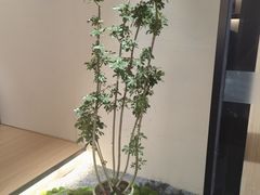 -常乐·对症推拿(长宁来福士店)
