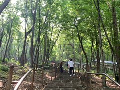 -帽儿山风景区