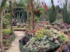 -三圣花乡旅游区