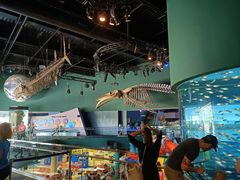 -瑞普利水族馆