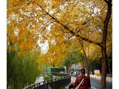 -La Medina餐厅(亮马河南路店)