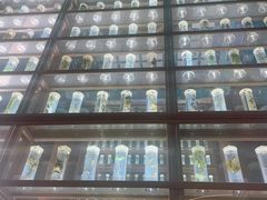 -珠海圆明新园