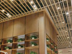-西贝(华发商都店)