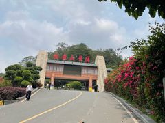 -白云山风景名胜区