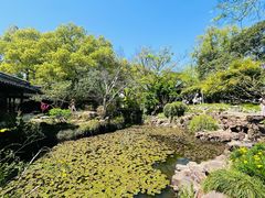 -上海醉白池公园