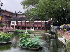 -豫园湖心亭茶楼