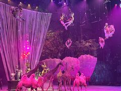 -广州长隆国际大马戏